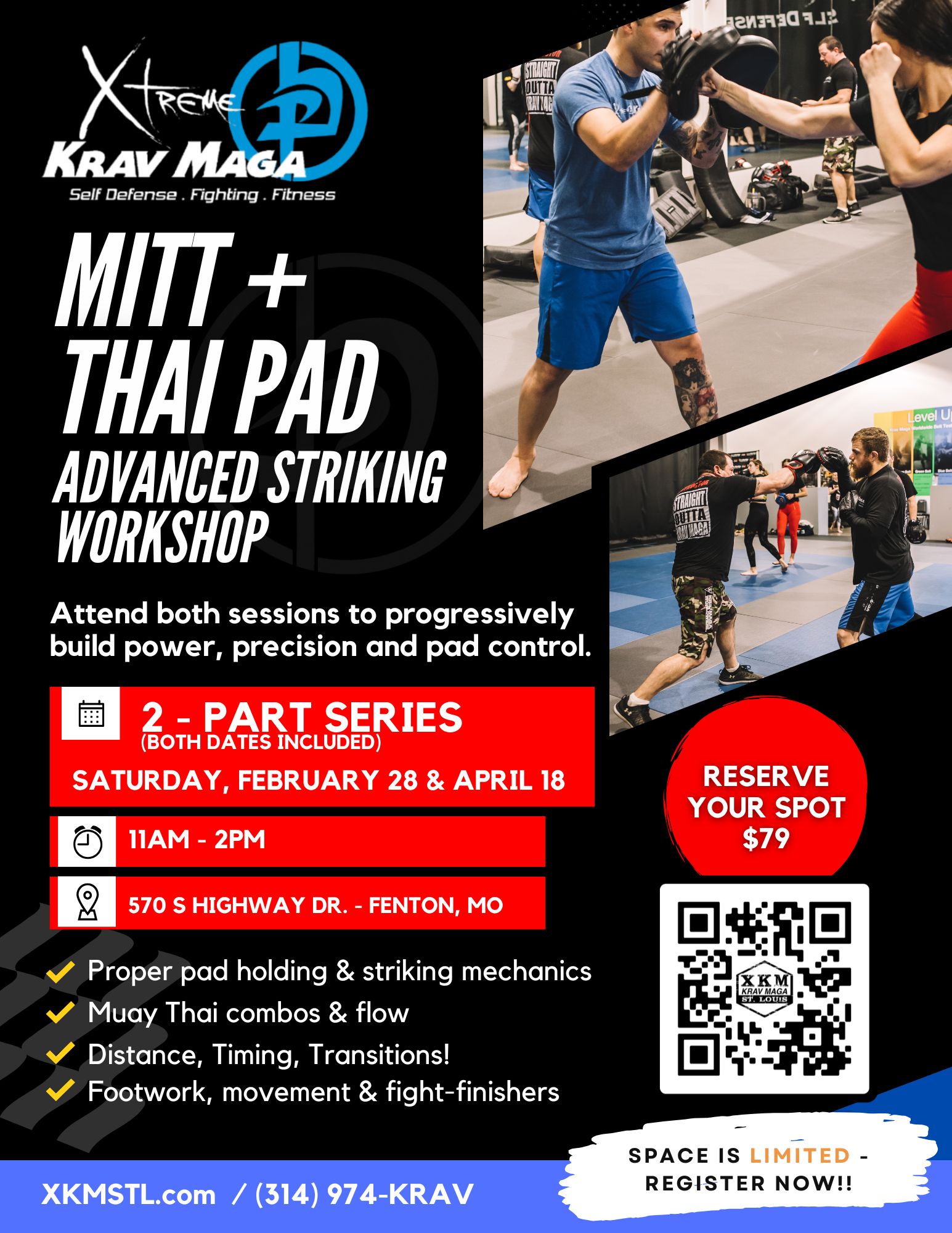 Mitt & Thai Pad Striking Workshop